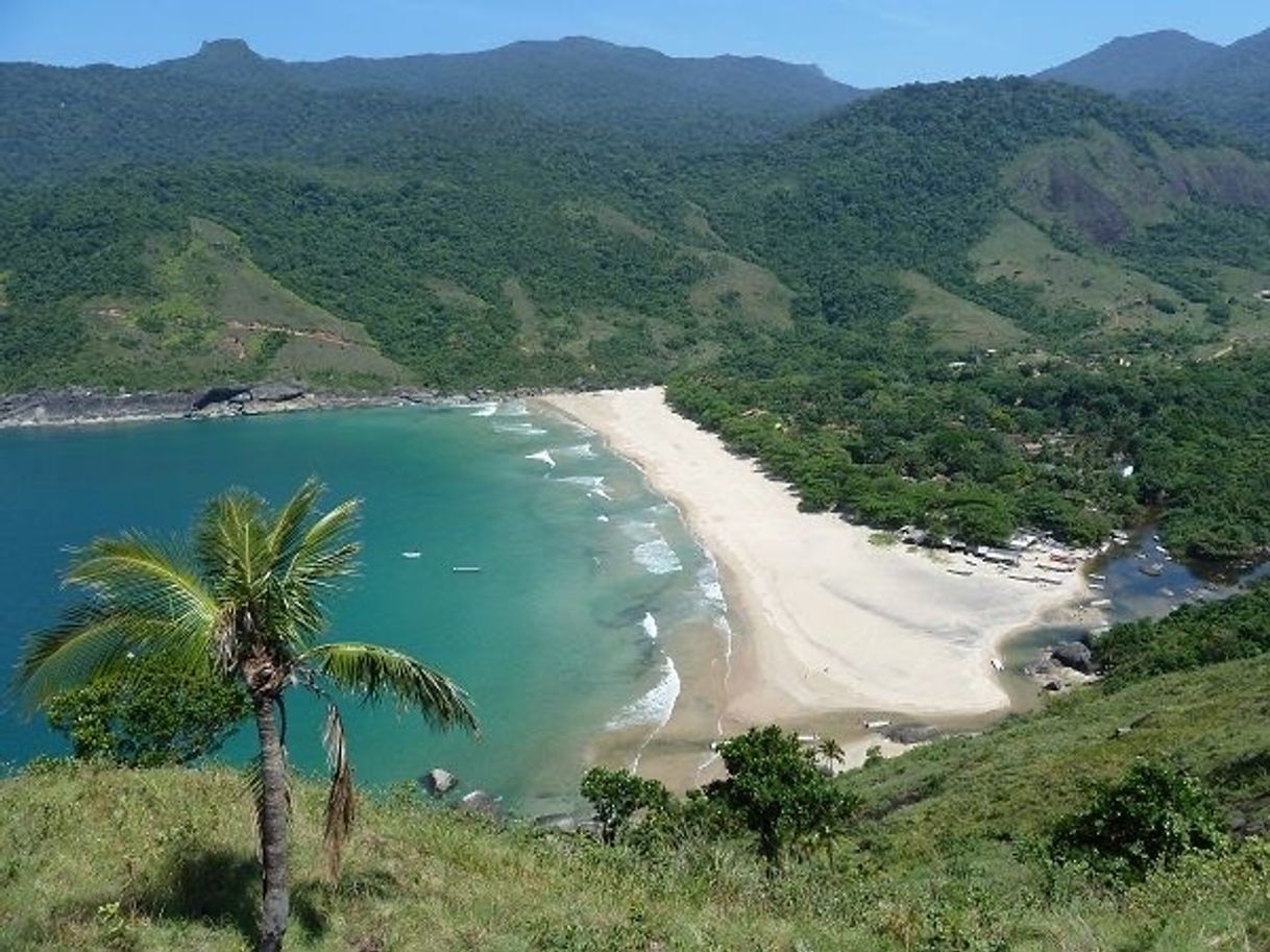 Fashion Praia do Bonete