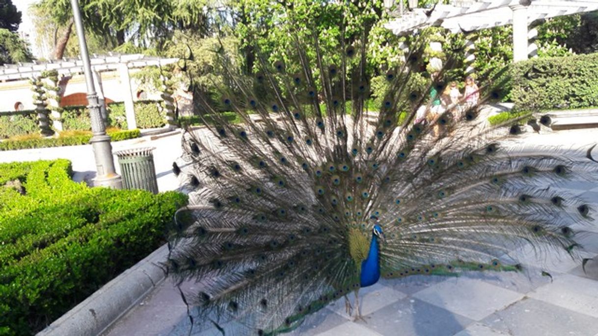 Place Jardines de Cecilio Rodríguez