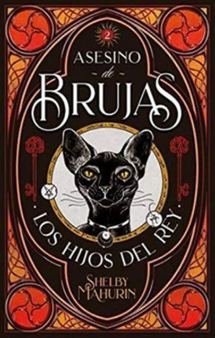 Book Asesino de brujas
