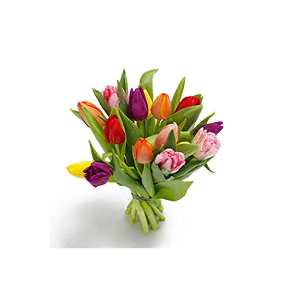 Social Florclick - Ramo de 15 Tulipanes con tarjeta dedicatoria gratuita