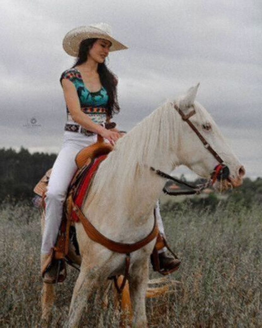 Fashion Inspiração country 