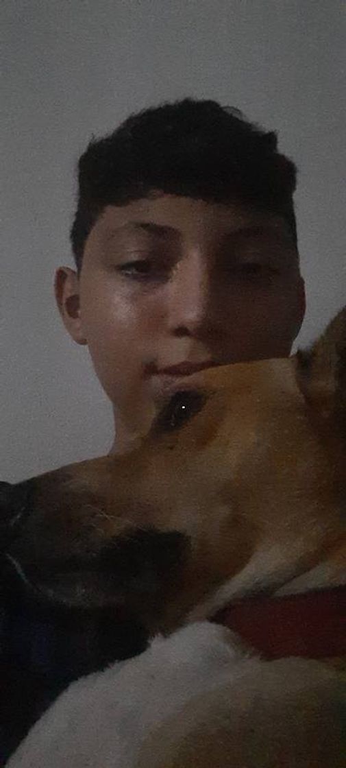 Moda Meu dog eh o pipoca