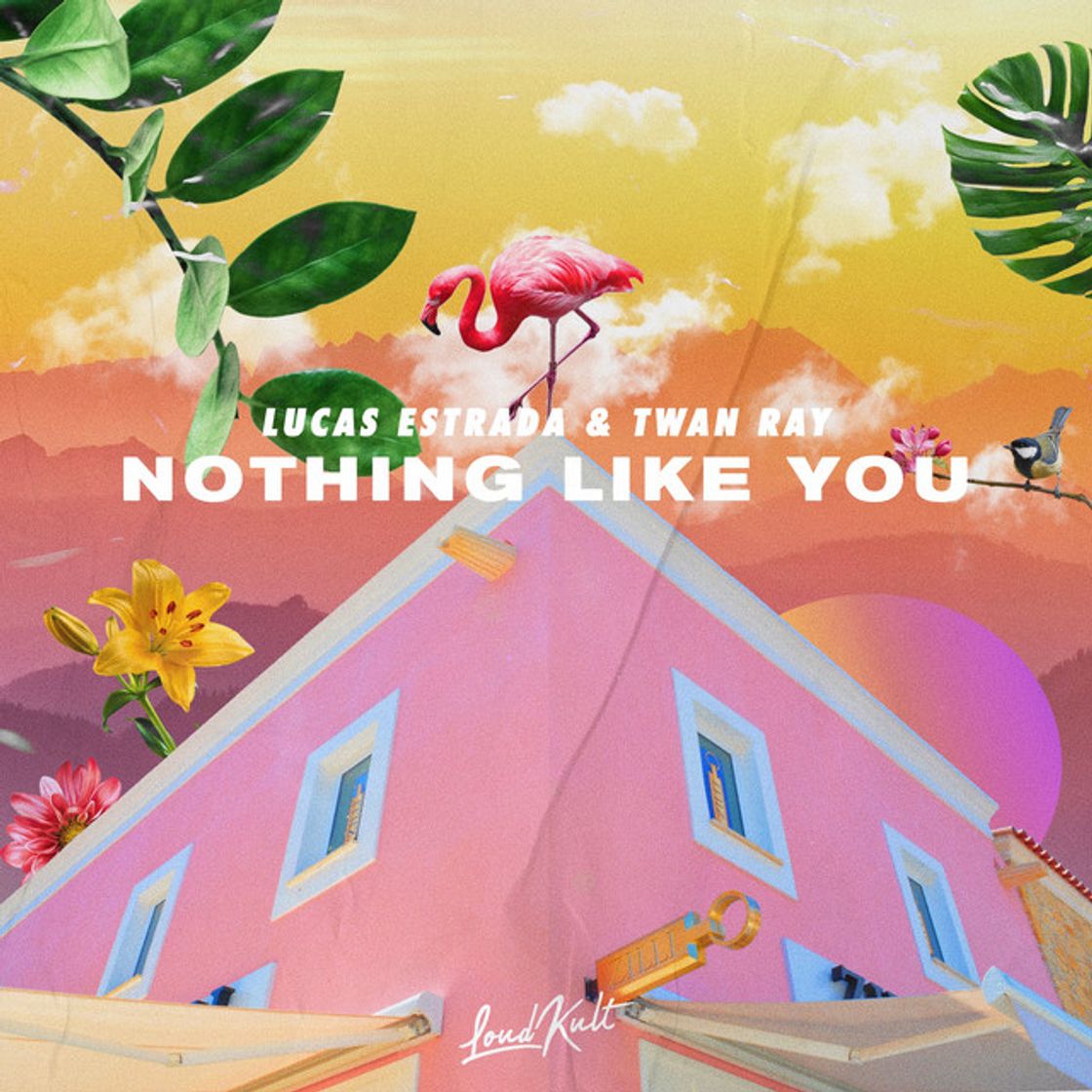 Music Nothing Like You