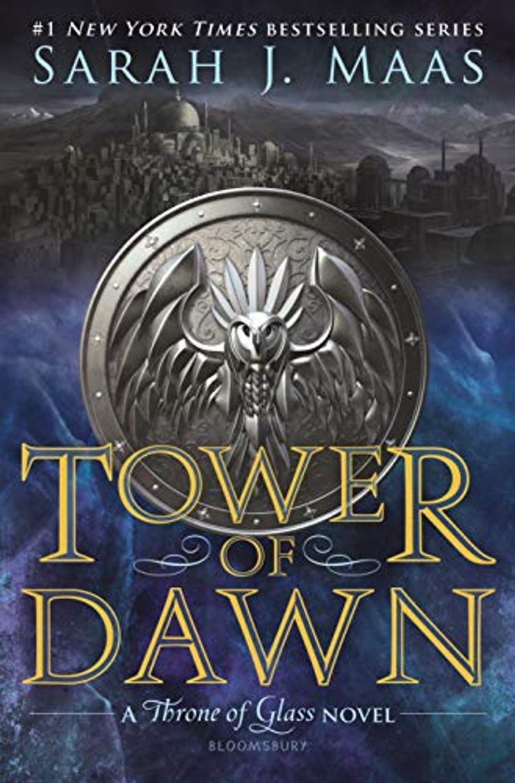 Libro Tower of Dawn