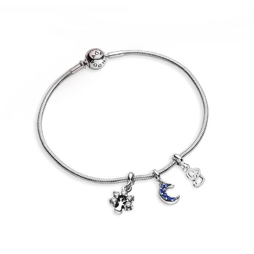 Conjunto pulsera Pandora