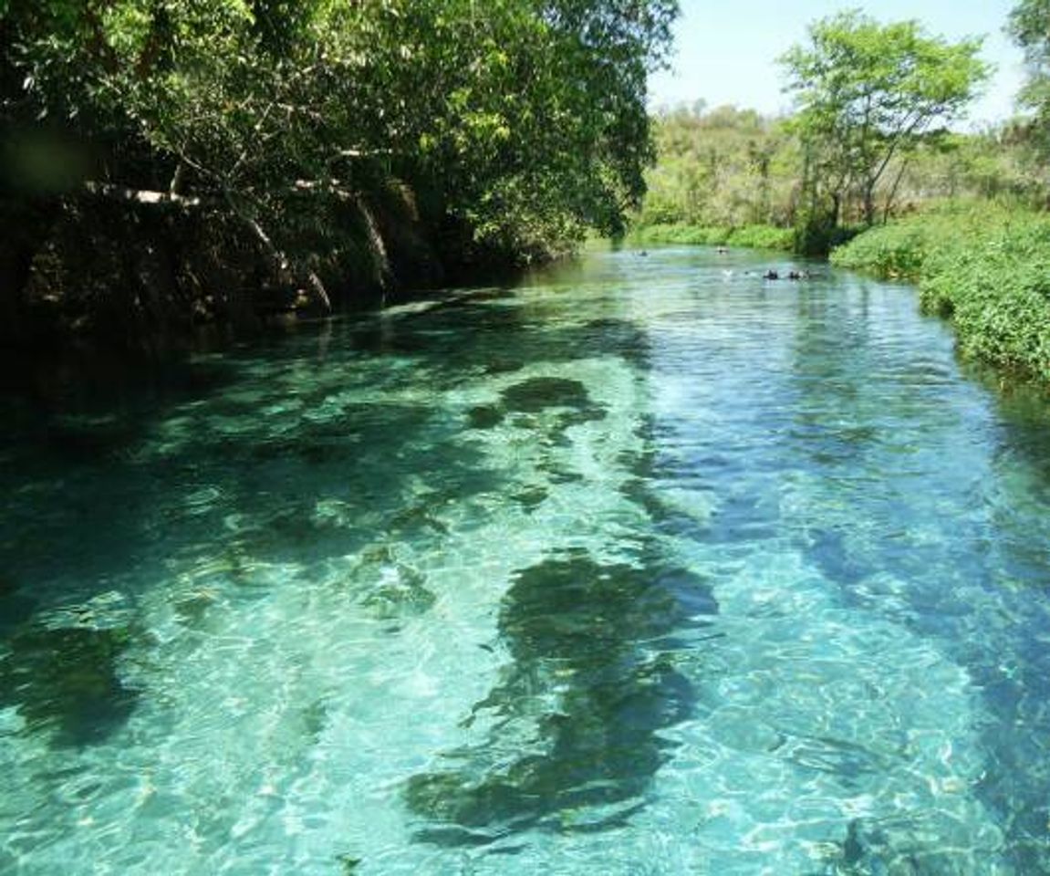 Lugar Rio Sucuri Ecoturismo Bonito MS