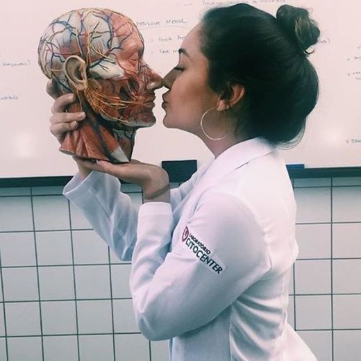 Foto med Anatomy 