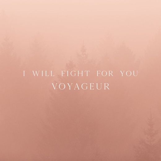 I Will Fight for You