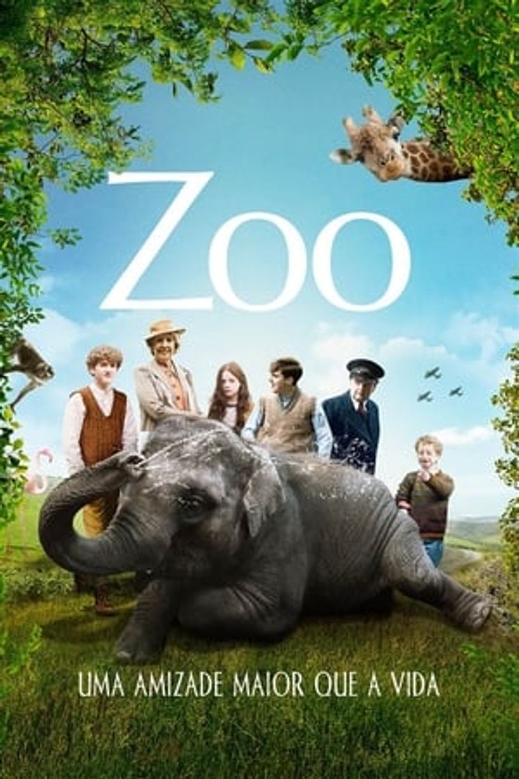 Película Zoo