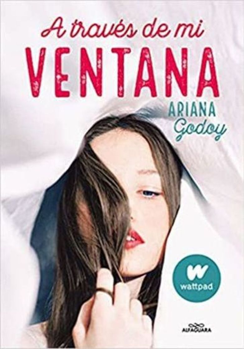 Libro A través de mi ventana