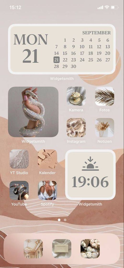 Social ✨🌼Organizando meu Ios 14🌼✨