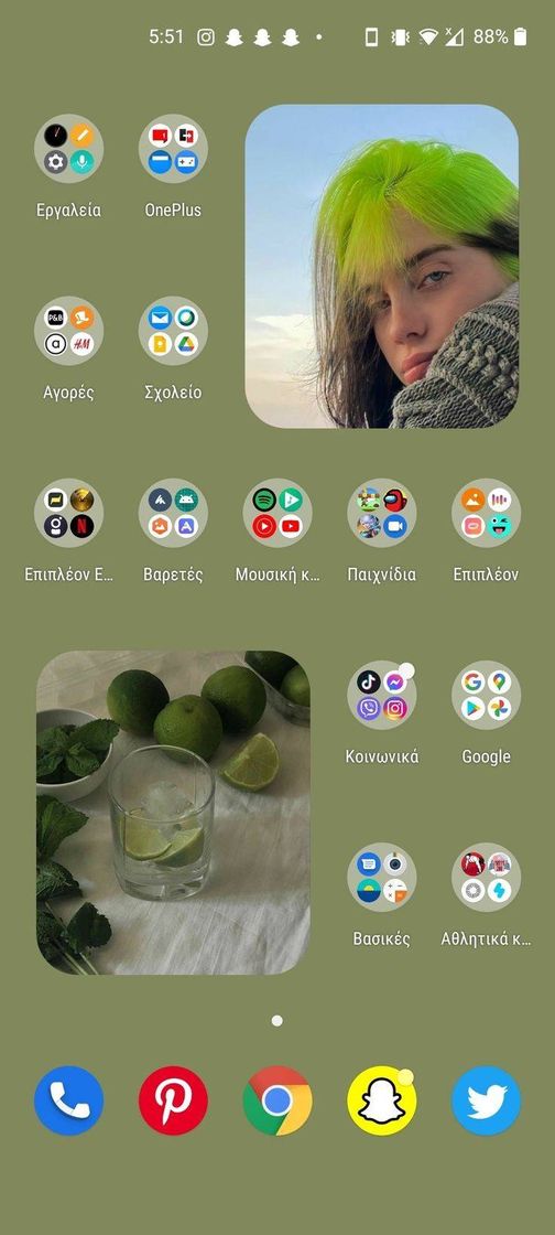 Social ✨💚Organizando meu Motorola 💚✨