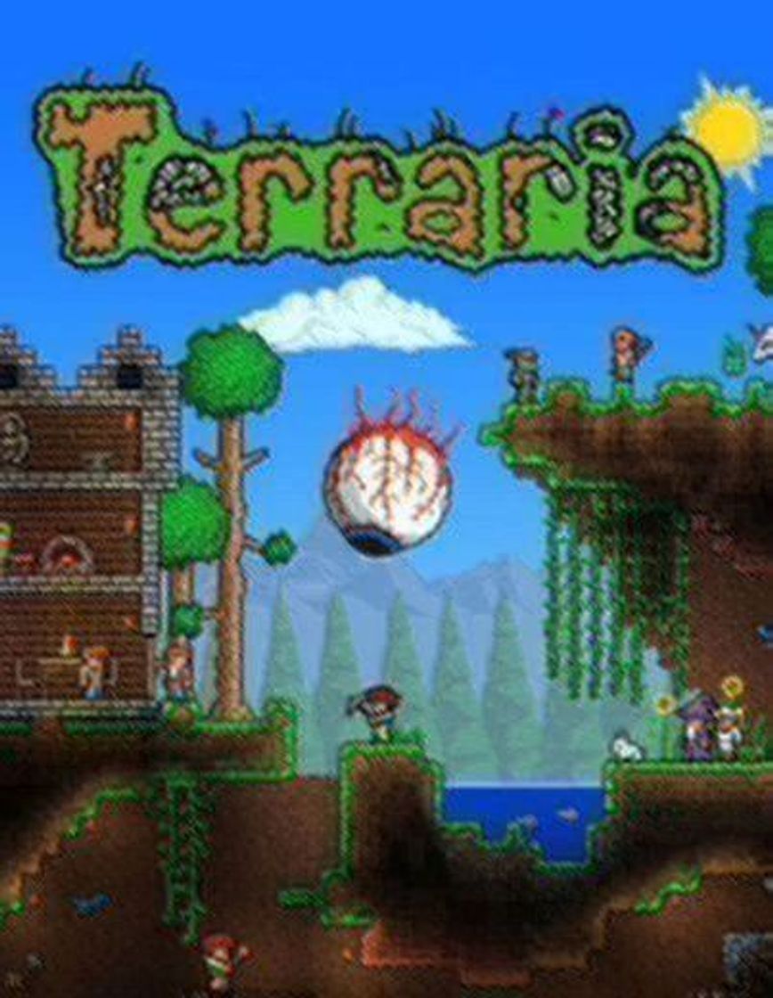 Videogames Terraria