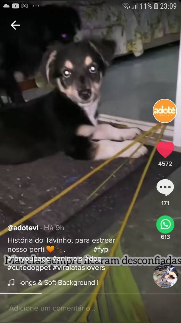 Social Por favor ajudem ele presisa de vc