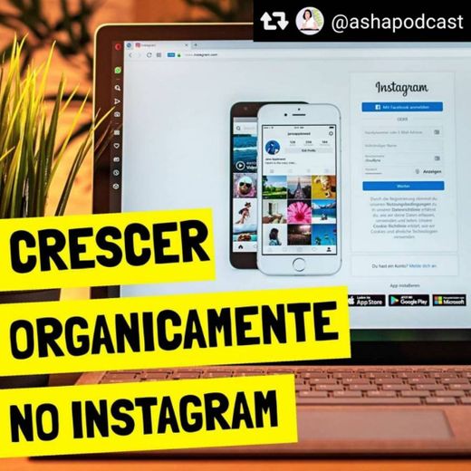 Crescer de forma ORGANICA no Instagram