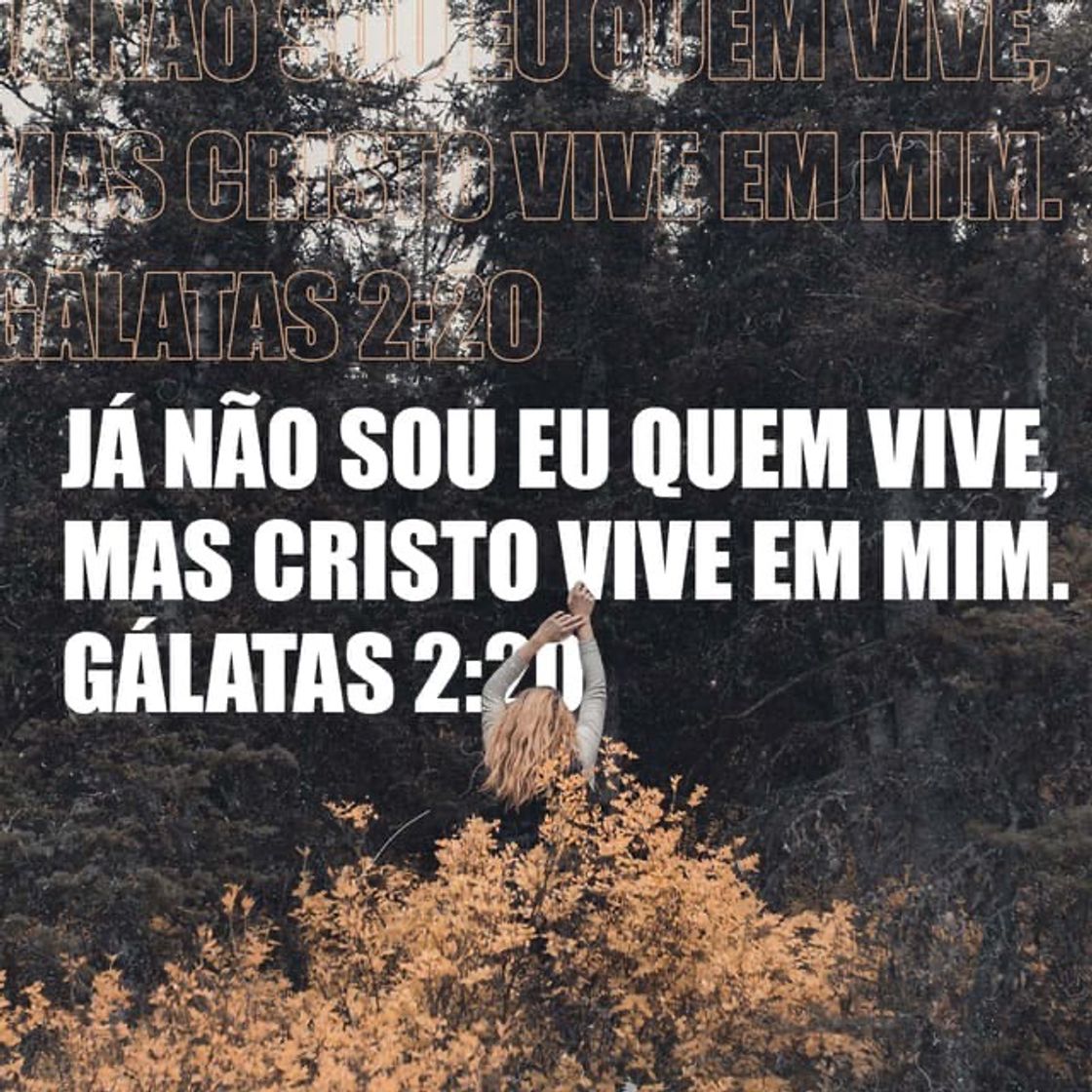 Libro Gálatas 2:20