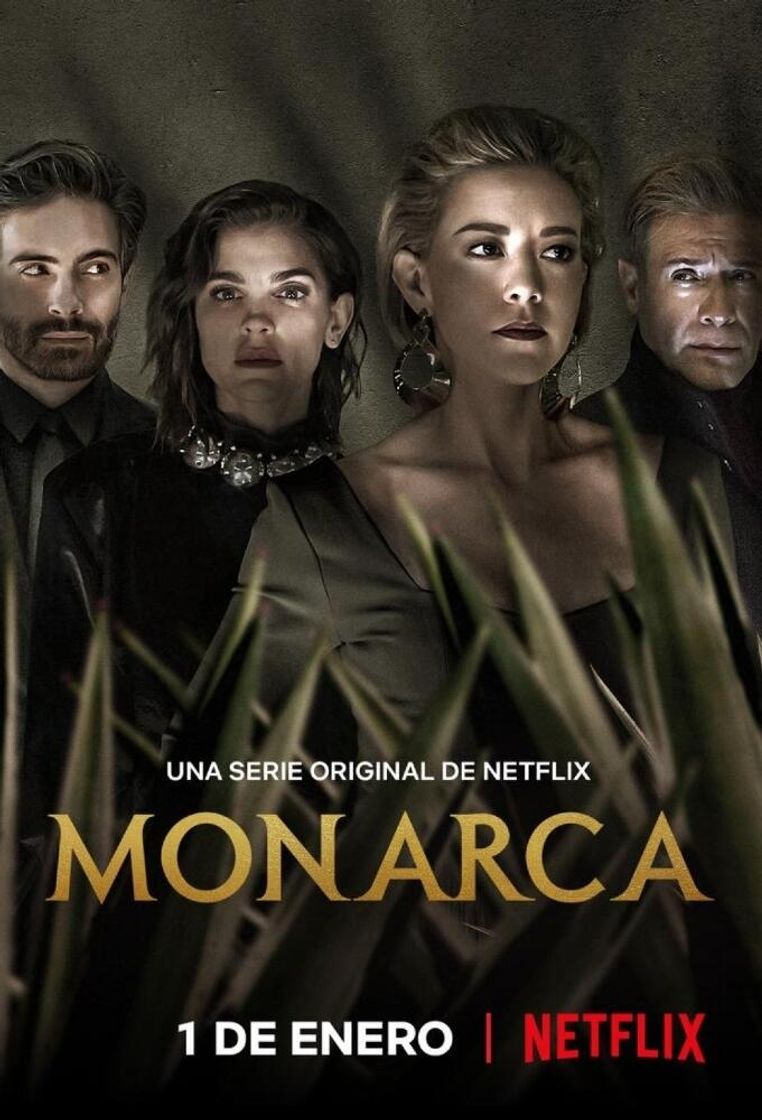 Serie Monarca