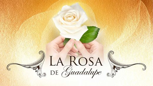 La rosa de Guadalupe