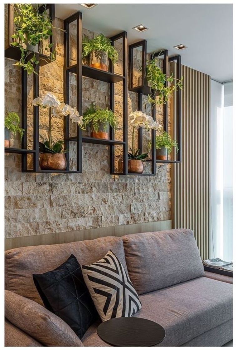 Social plantas/parede com revestimento de pedra 