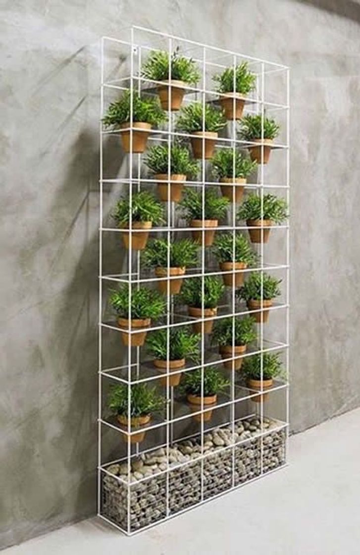 Social jardim vertical 