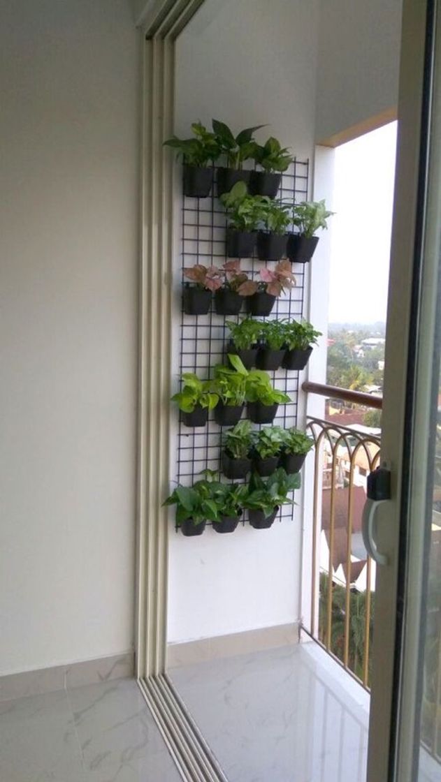 Social jardim vertical 