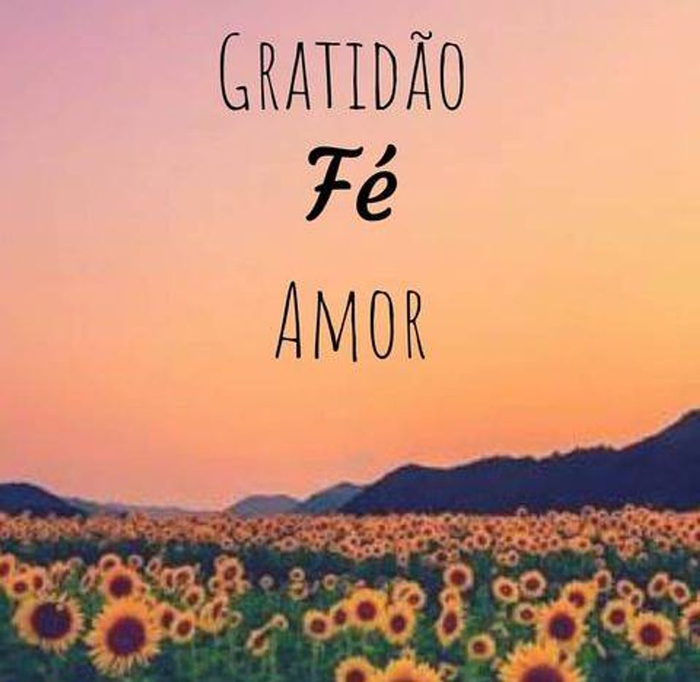 Fashion Gratidão, fé e amor 🌻