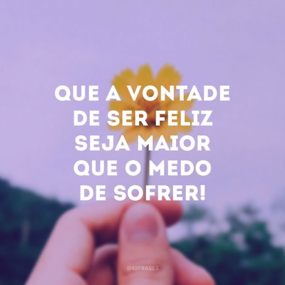 Moda Frases para foto