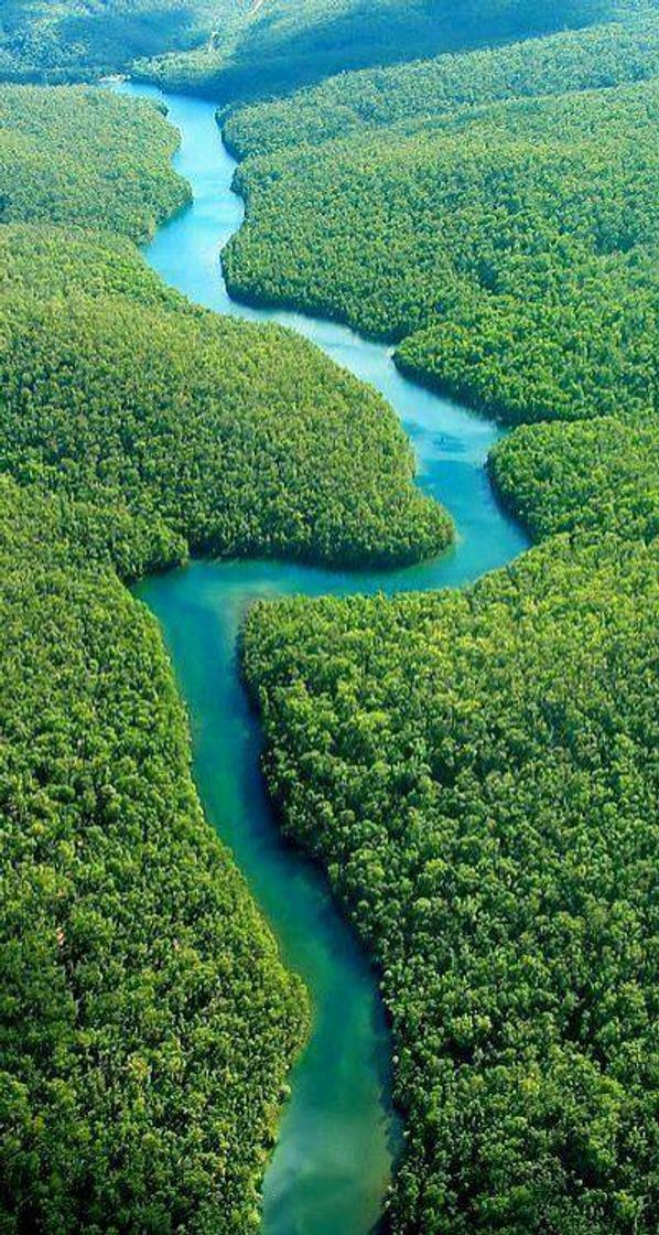 Lugar NOSSA AMAZÔNIA 🌳🌳🌳🇧🇷🇧🇷🇧🇷🇧🇷