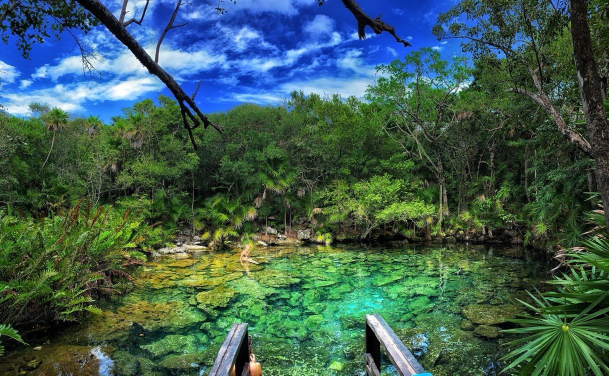 Lugar Caleta Tankah Playa