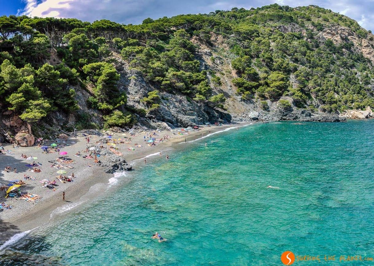 Place Platja Fonda