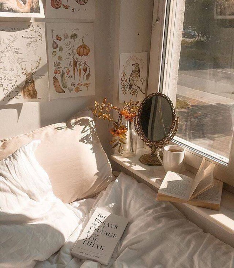 Moda bed • comfort • sleep • coffee • morning sunshine 