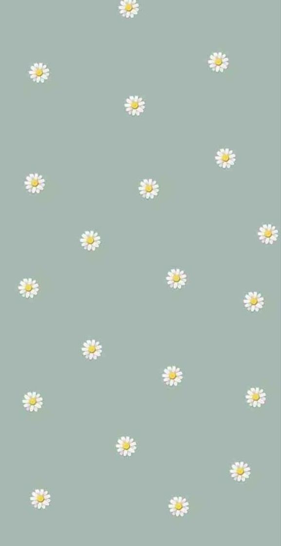 Fashion 🌼 — daisy wallpaper 