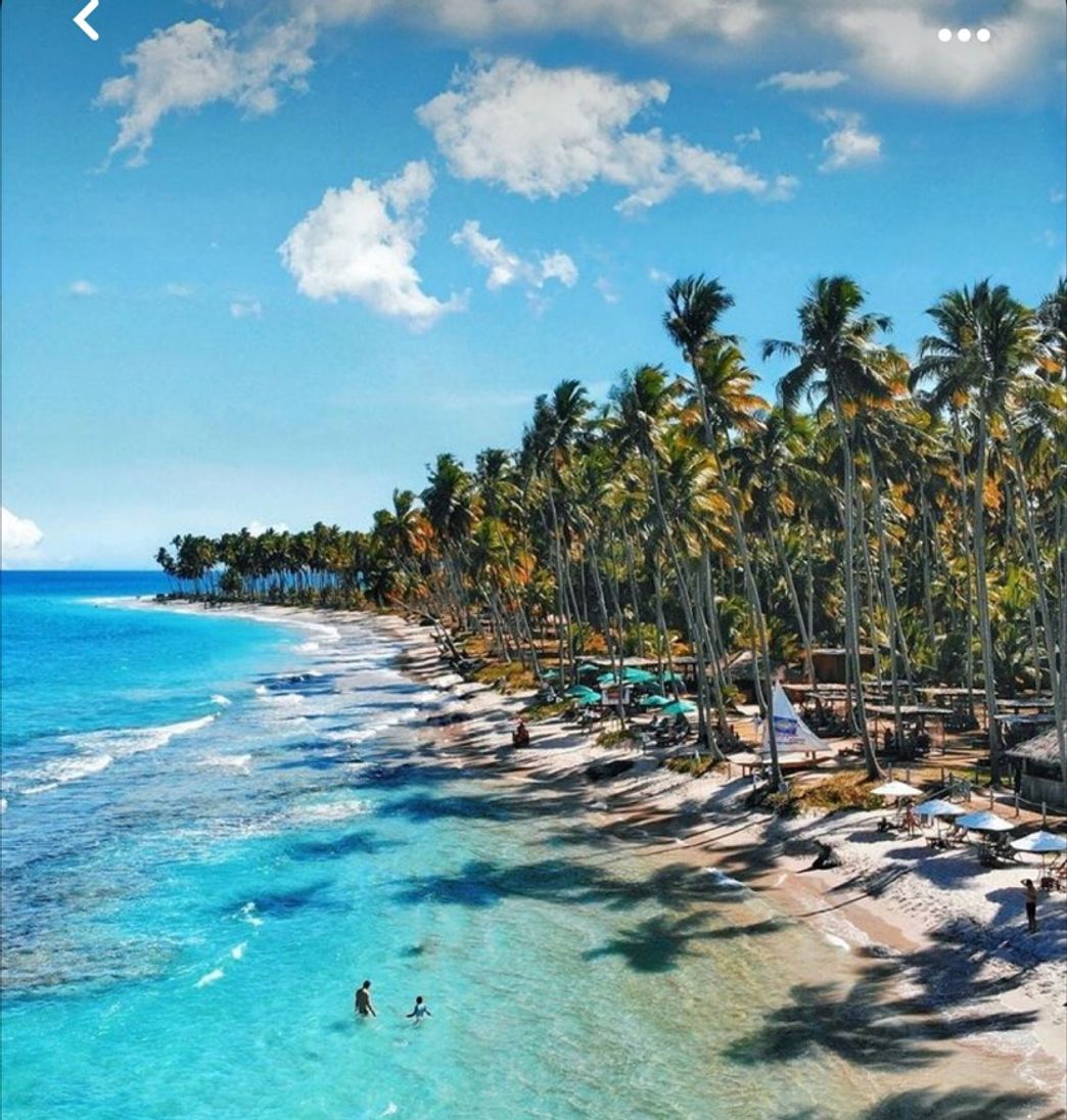 Social Praia dos carneiros