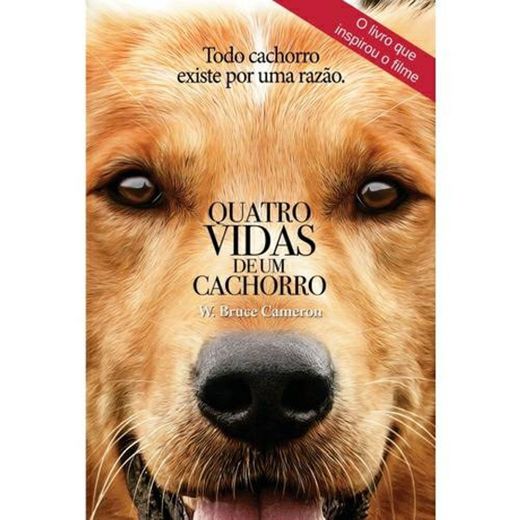 Livro 4 vidas de um cachorro