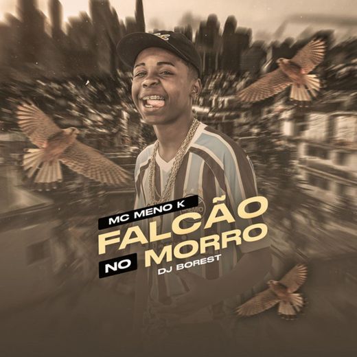 Falcão no Morro