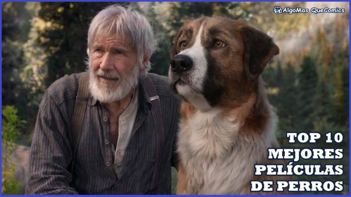 Película Mejores Películas de Perros | TOP 10