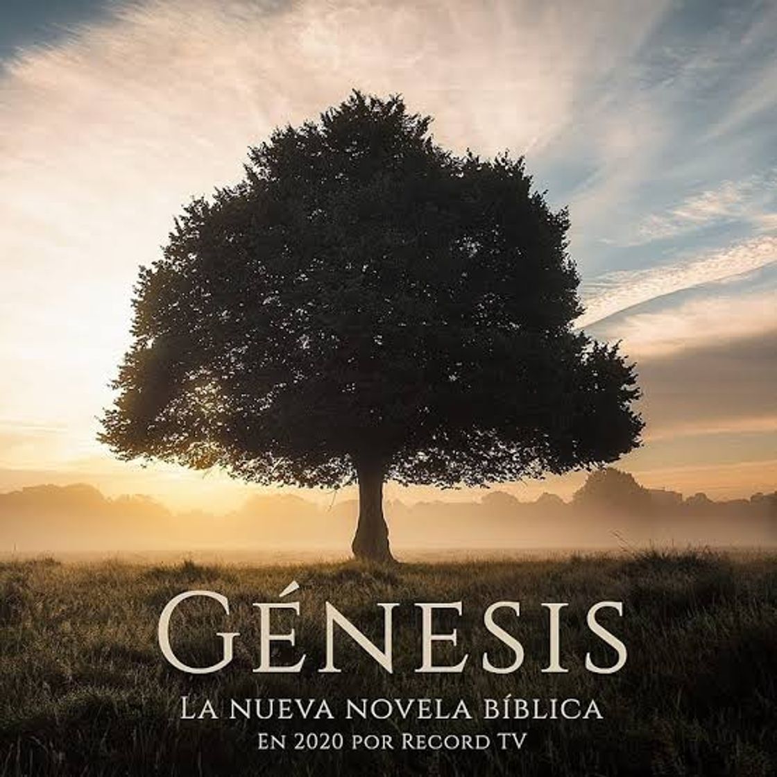 Serie Gênesis
