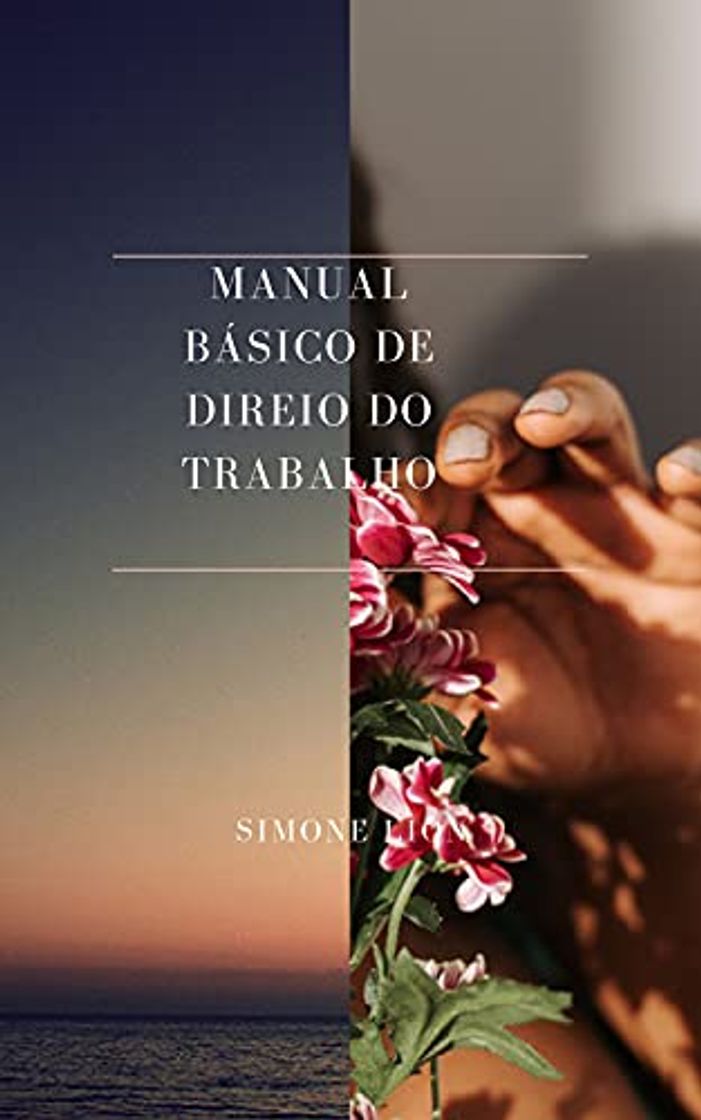 Book MANUAL BÁSICO DE DIREITO DO TRABALHO