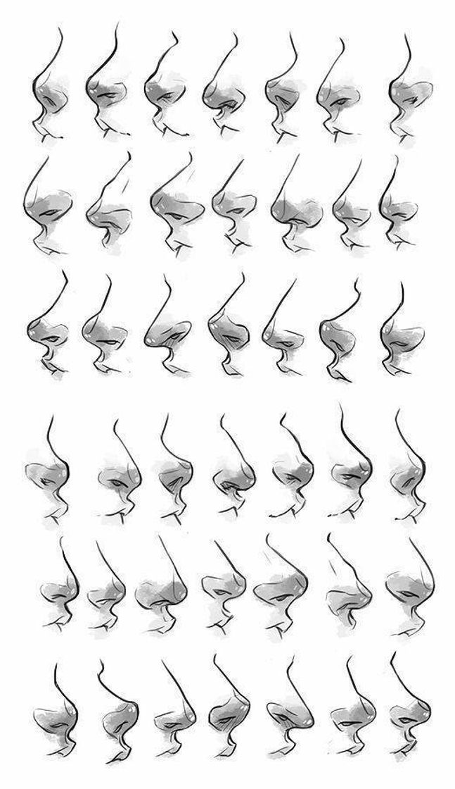 Moda nose types / tipos de nariz