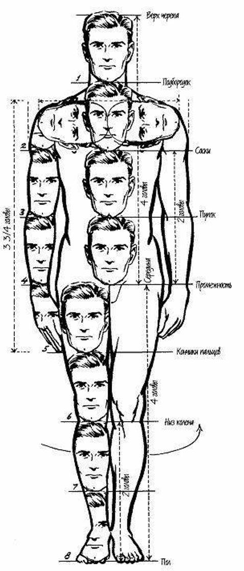 Moda body proportion / proporção de um corpo