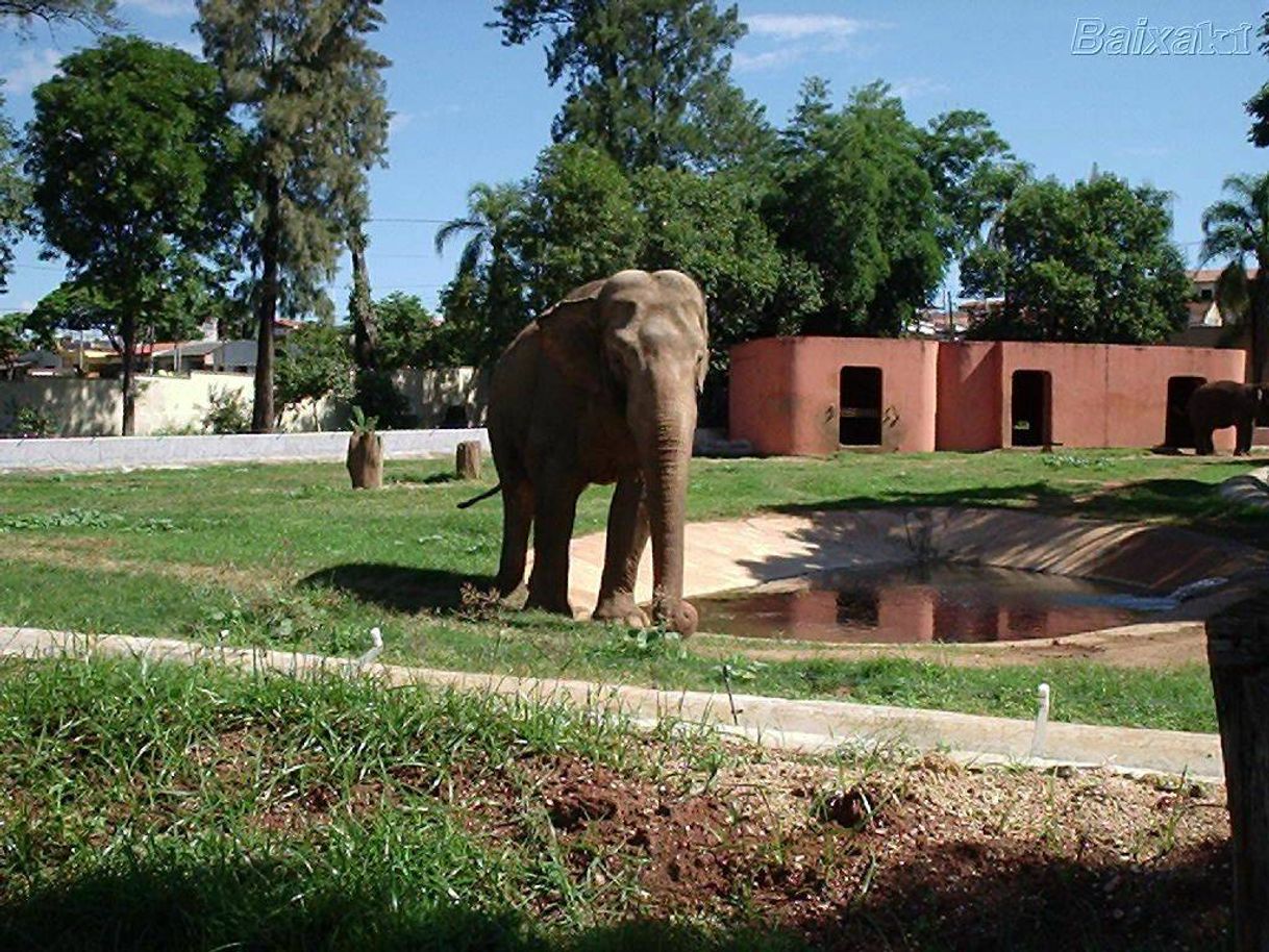 Place Zoológico de Sorocaba