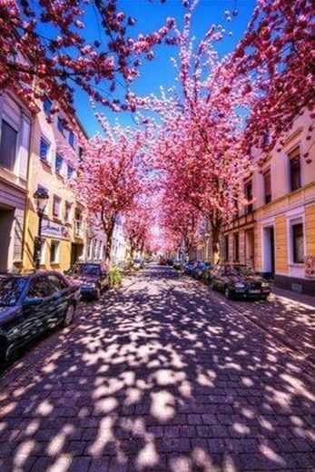 🌸Flowers tree🌸