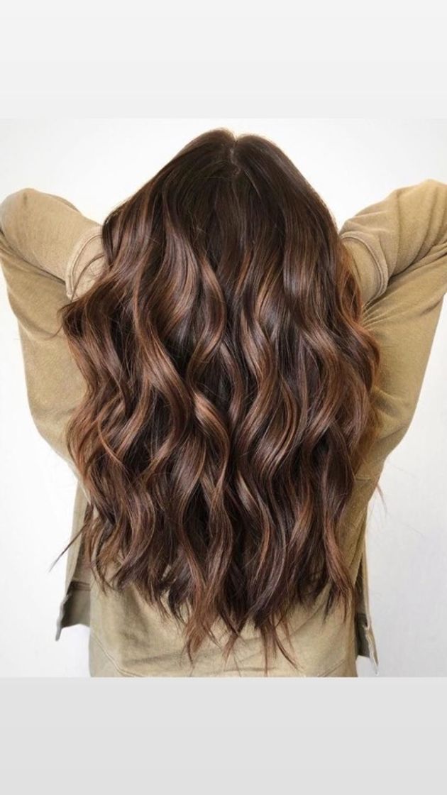 Social Morena iluminado