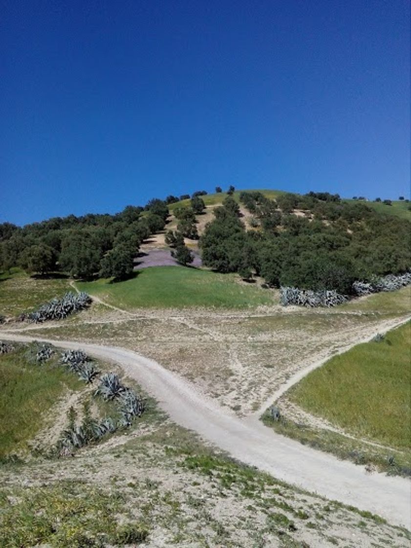 Place Ouled Zbair