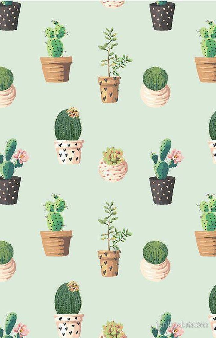 Moda Cactus wallpaper 