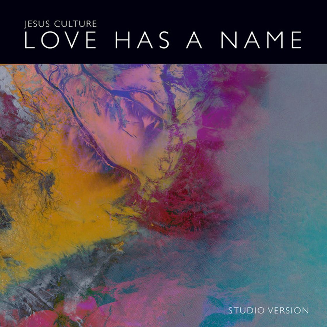 Music Love Has A Name - Studio Version