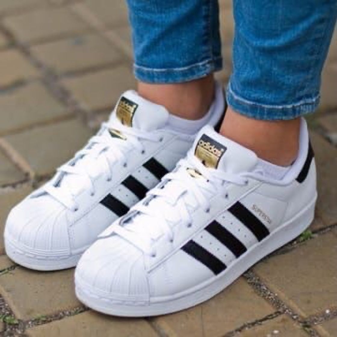 Fashion tênis adidas 