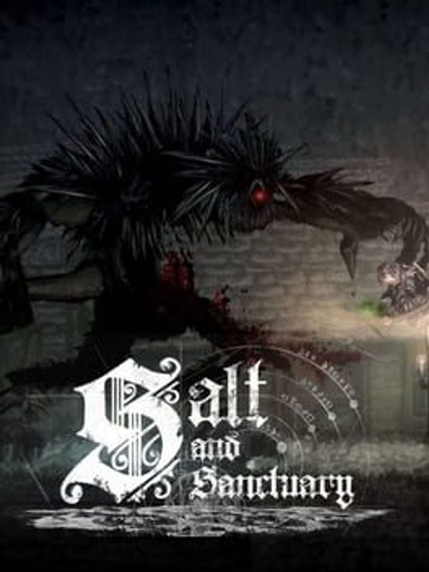 Videogames Salt and Sanctuary