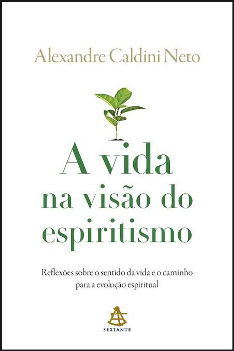 Book A vida na visão do espiritismo 