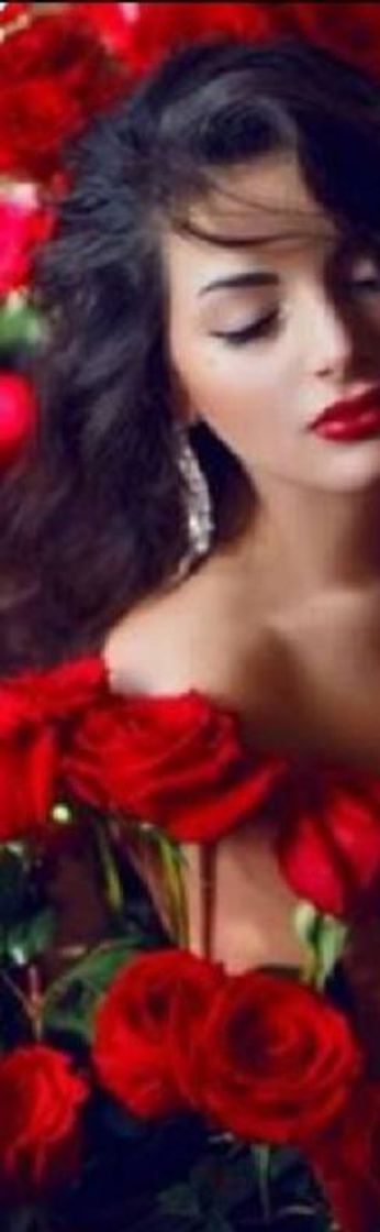 Social 💠Portada Roja